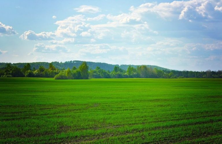 2 funciones de buenos días con paisajes hermosos postal