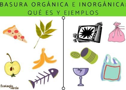 Los Ejemplos De Basura Organica Para Aprender