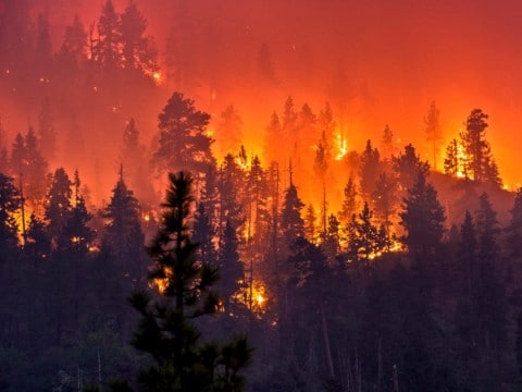 fotos de incendios forestales en españa