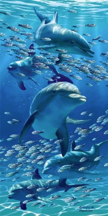 Imagenes de delfines en el mar para dibujar y colorear | Imagenes del Medio  Ambiente