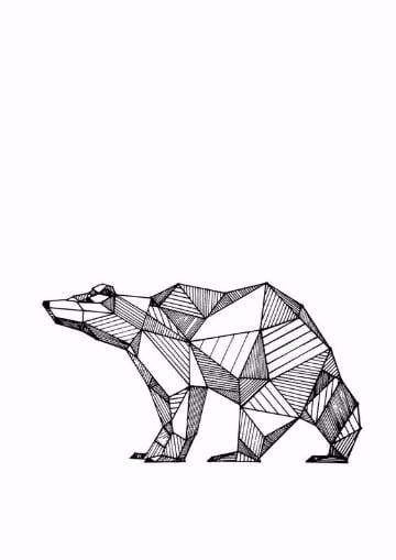 dibujos de osos polares a lapiz