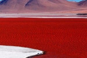 imagenes del mar rojo en chile