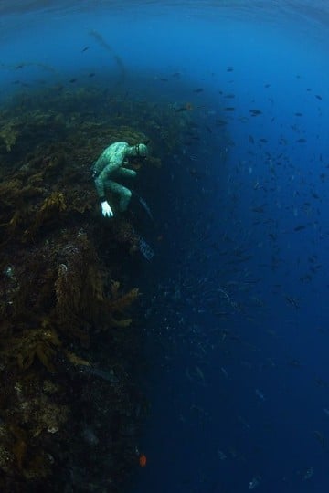 fotos del fondo del mar oceano