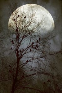 imagenes de lunas hermosas bonitas