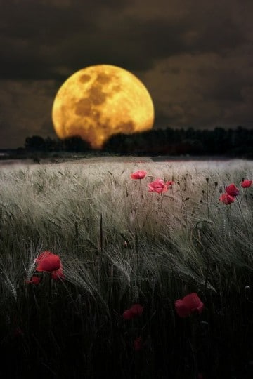 imagenes de lunas hermosas brillantes