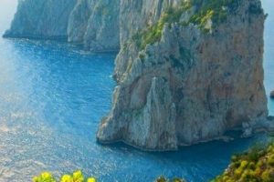 imagenes del mar mediterraneo bosque