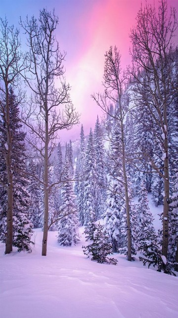 paisajes de invierno bonitos mundo
