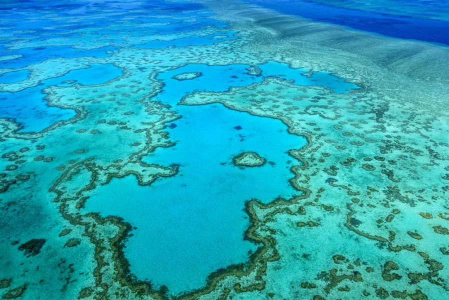 7 maravillas de la naturaleza barrera de coral