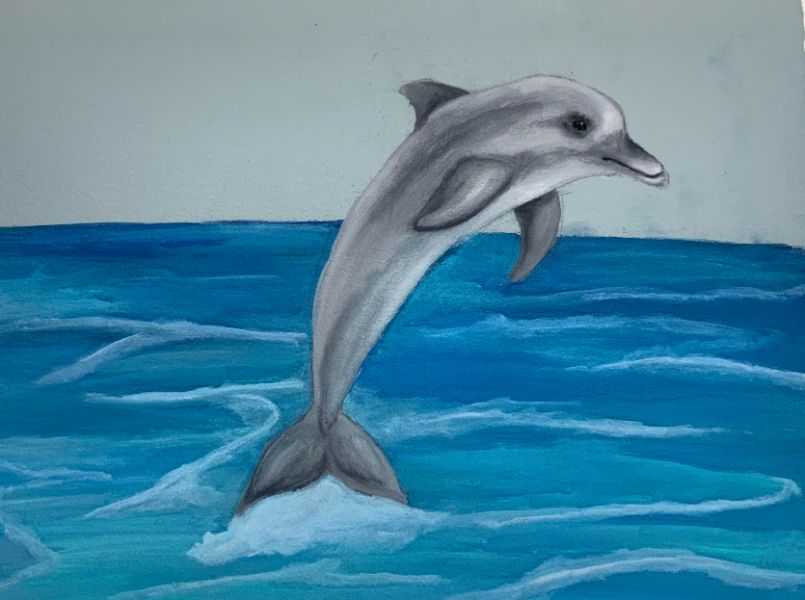 3 dibujos de delfines a color para decorar e iluminar