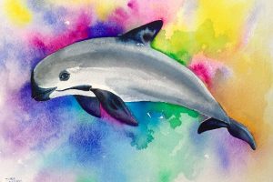 dibujos de delfines bonitos acuarela