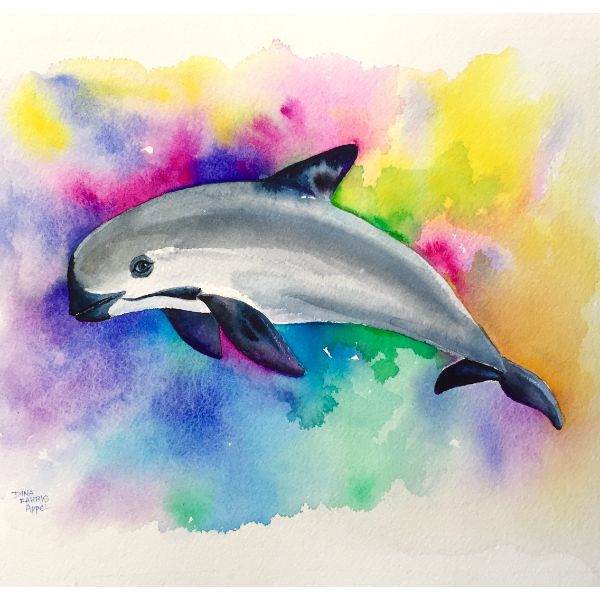 dibujos de delfines bonitos acuarela