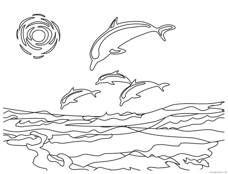 dibujos de delfines para colorear y complementar