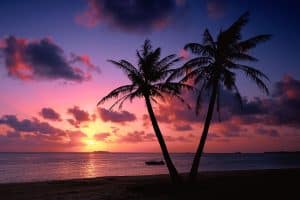 imagenes de atardeceres en la playa con una palmera