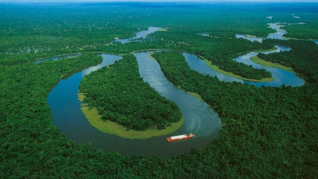 bosques famosos del mundo amazonia