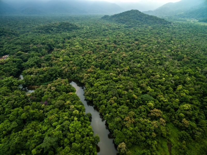 bosques famosos del mundo el Congo