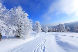 fondos de paisajes bonitos invierno