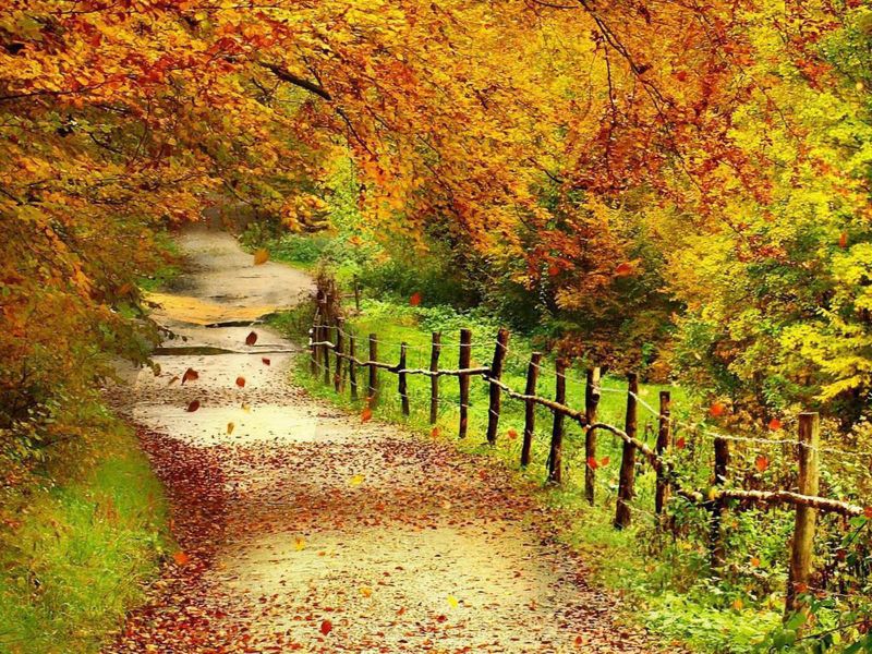 fondos de paisajes bonitos otoño