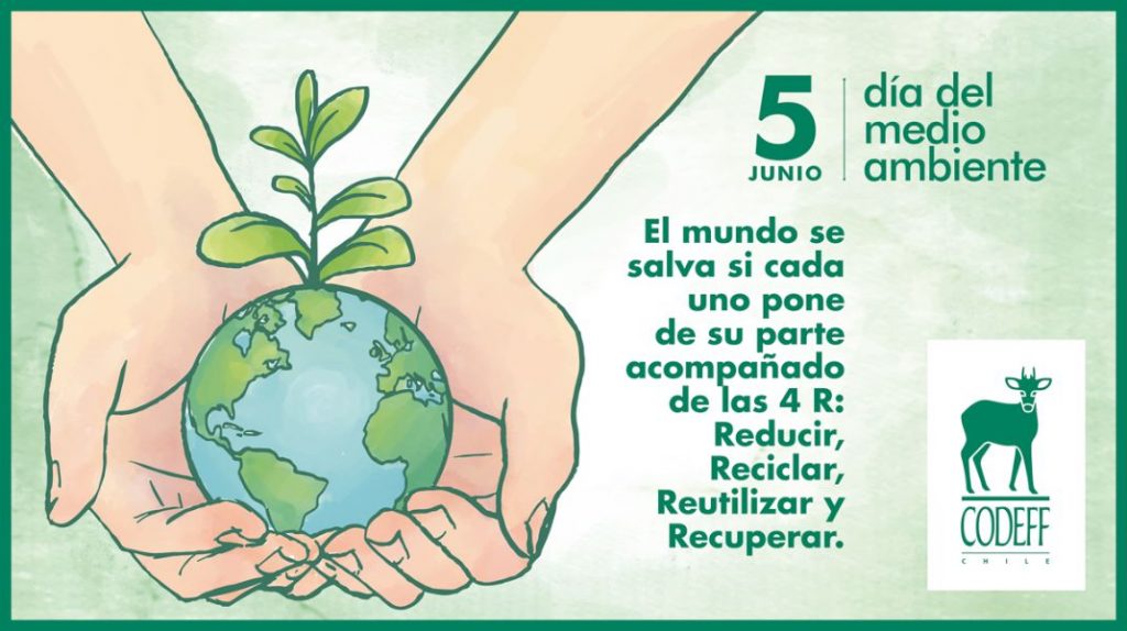 Adecuadas frases dia del medio ambiente 5 de junio