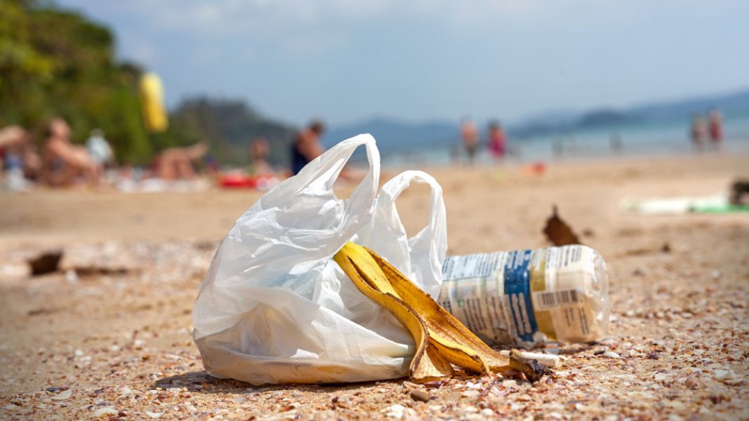 imagenes de playas contaminadas desperdicios de visitantes