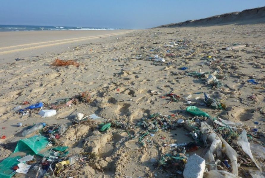 imagenes de playas contaminadas elementos de alto tiempo de degradación