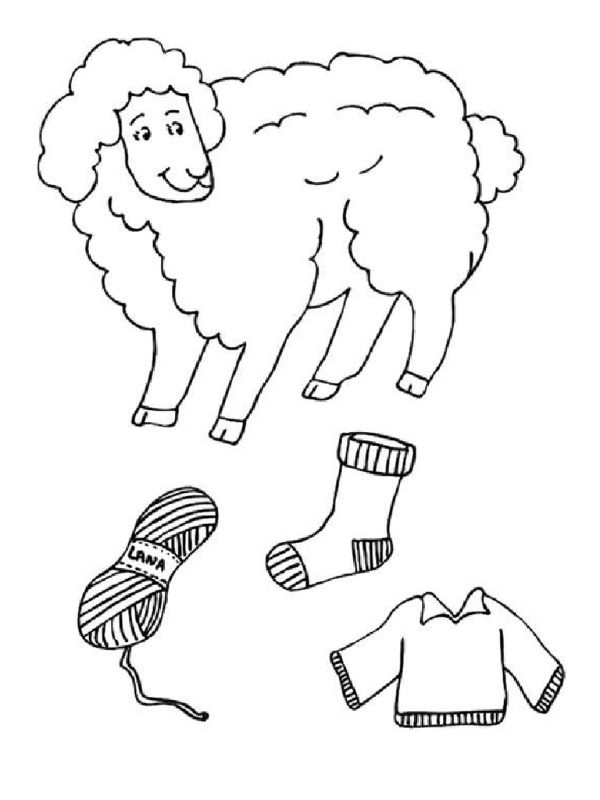 animales de la granja para colorear oveja y sus derivados