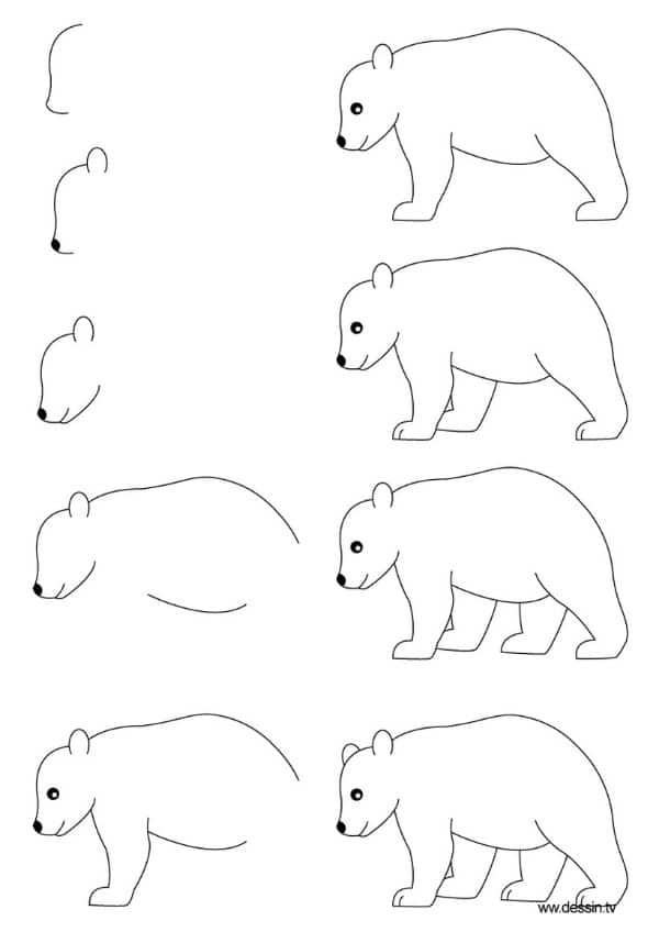 imagenes de animales para dibujar paso a paso