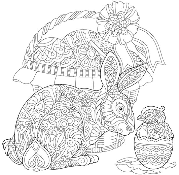 imagenes de conejos para dibujar muchos detalles
