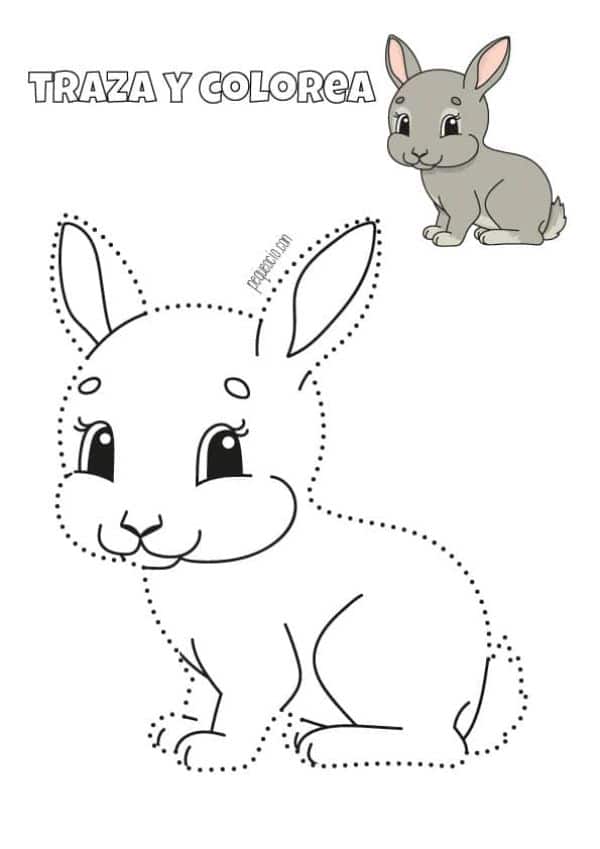 imagenes de conejos para dibujar para delinear