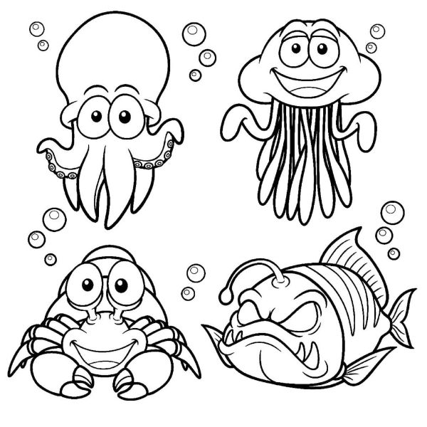 4 animales marinos animados para dibujar esquemas