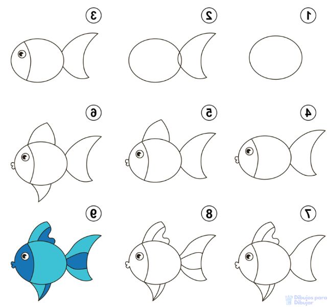 animales marinos animados para dibujar tutorial