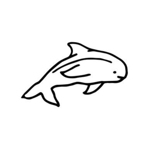 animales marinos para dibujar faciles vaquita marina