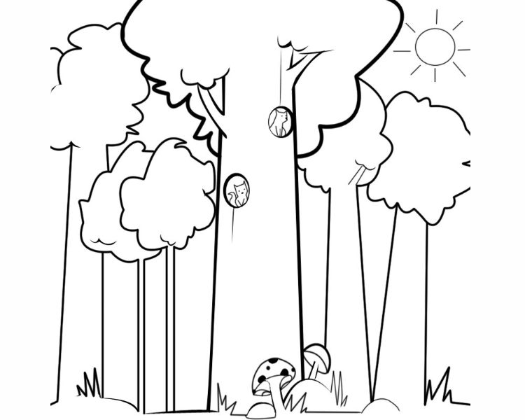 como dibujar un bosque arboles altos