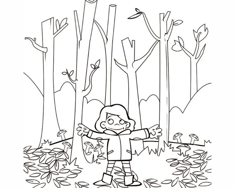 como dibujar un bosque en otoño