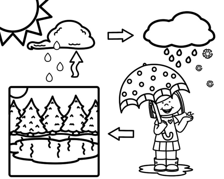 imagenes de cuidar el agua para dibujar ciclo del agua