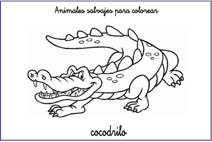 animales salvajes para colorear cocodrilo