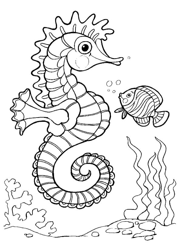 dibujos de animales del fondo del mar para colorear