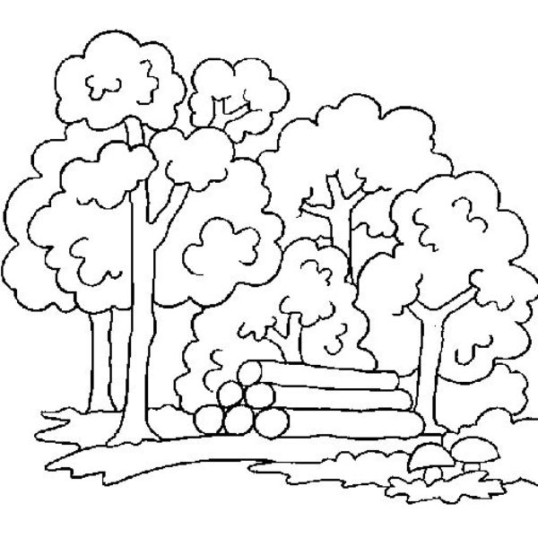 dibujos de bosques para niños deforestación