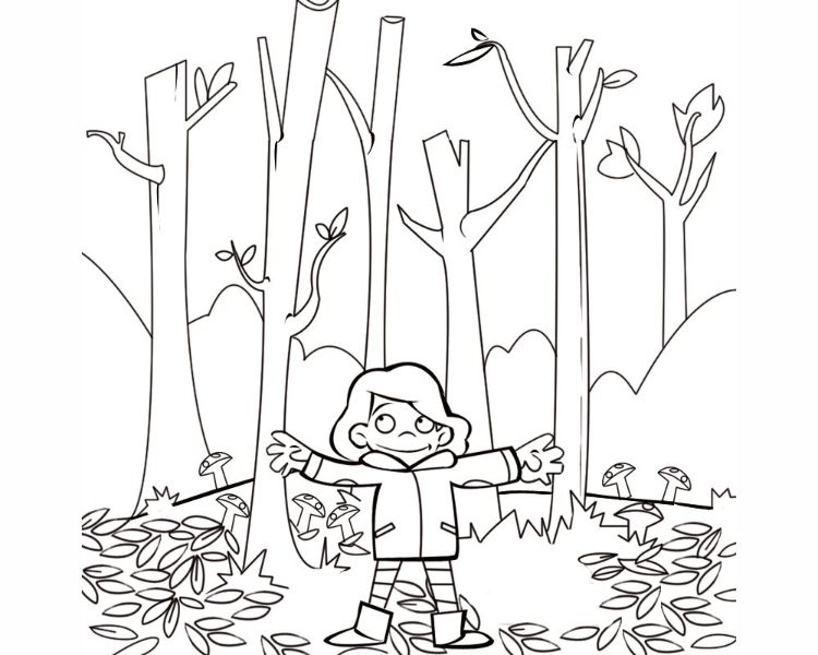 dibujos de bosques para niños en otoño