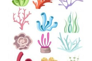 imagenes de corales para dibujar diferentes especies