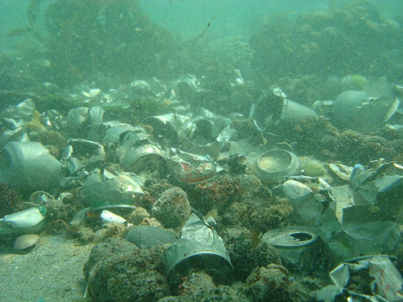 imagenes del fondo del mar contaminados