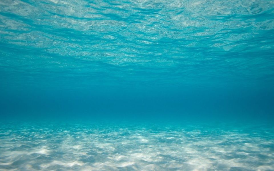 imagenes del fondo del mar fondos de pantalla