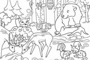 bosque para dibujar con animales para descubirir animales