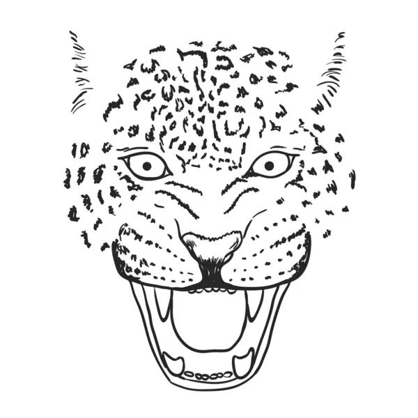 dibujos de animales del bosque vector leopardo amur