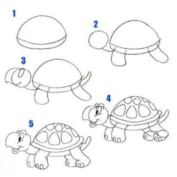 imagenes de tortugas para dibujar esquema paso a paso
