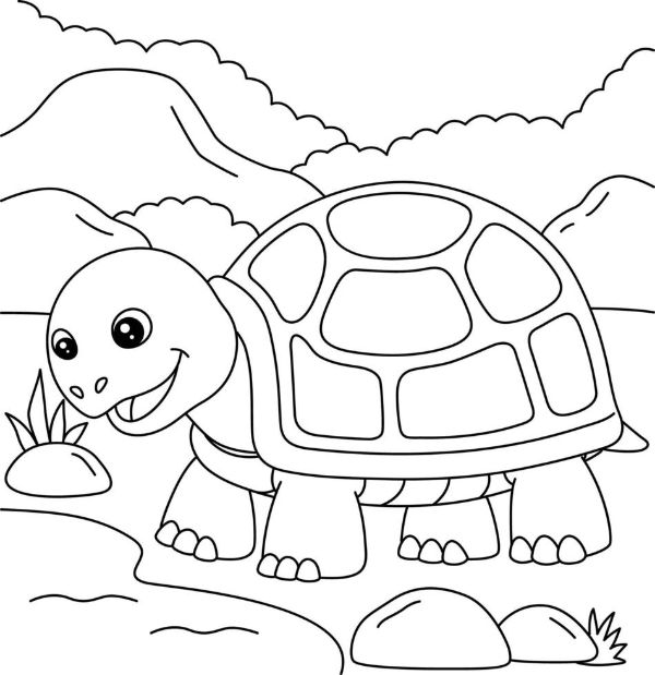 imagenes de tortugas para dibujar extremidades patas