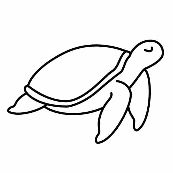 imagenes de tortugas para dibujar para complementar