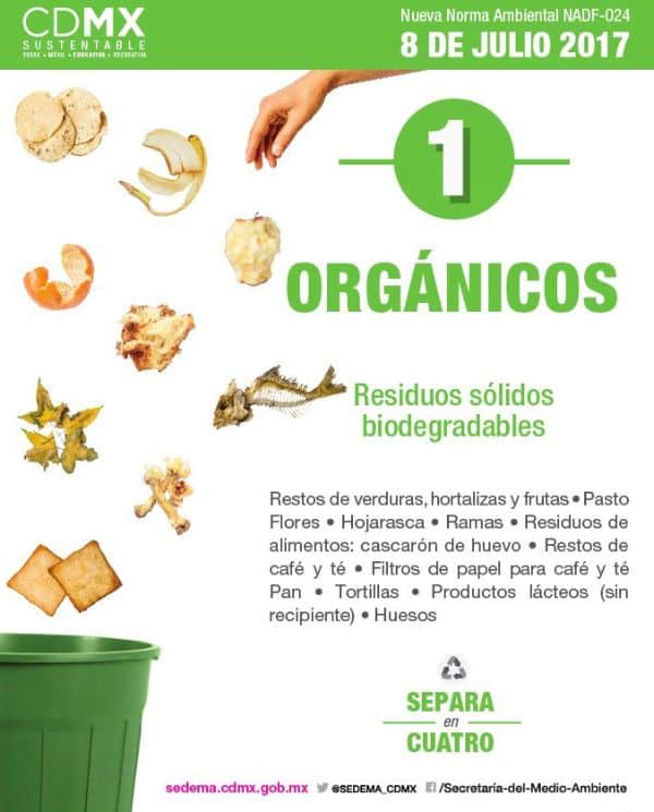 5 ejemplos de basura organica carteles informativos
