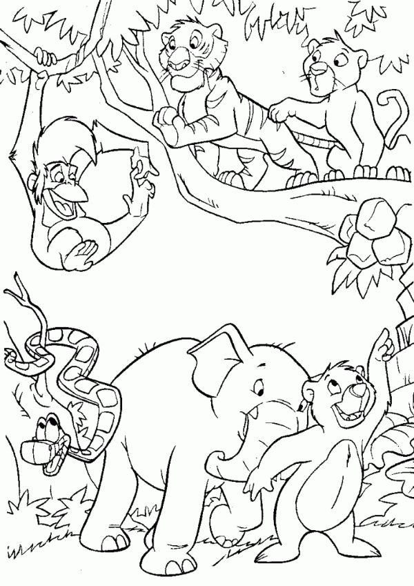 animales de la selva colorear personajes animados