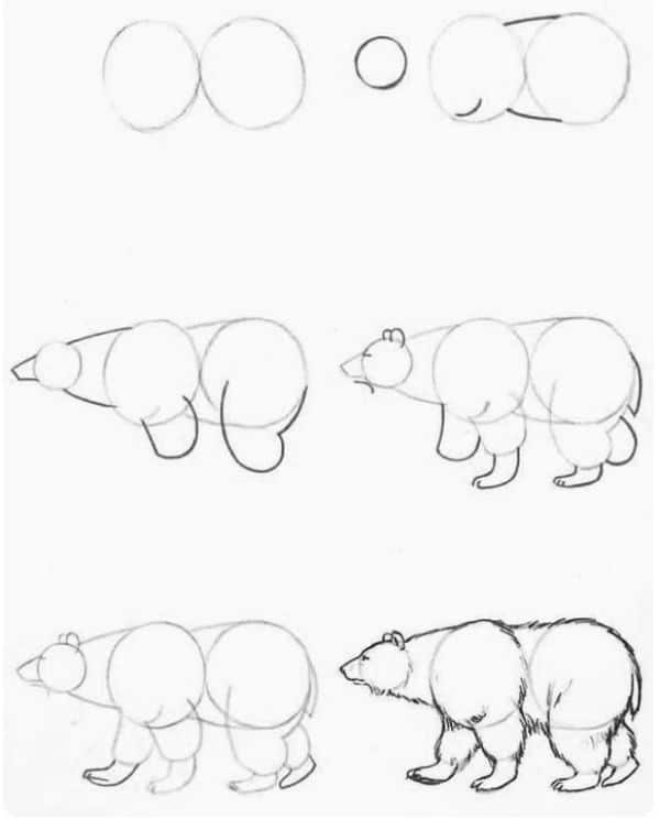 como dibujas un oso realista paso a paso