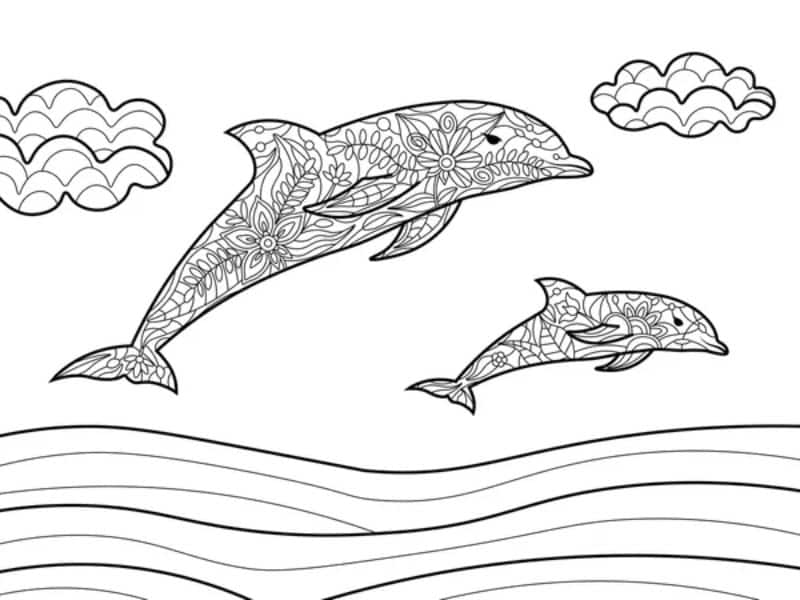 dibujo delfin para colorear con complejidad